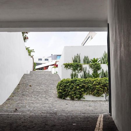 Sao Miguel Charming House By Lfc Apts Ponta Delgada Exteriér fotografie